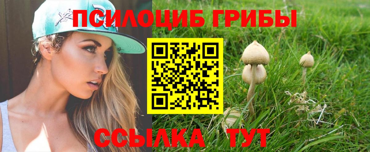 Галлюциногенные грибы Cubensis Моршанск