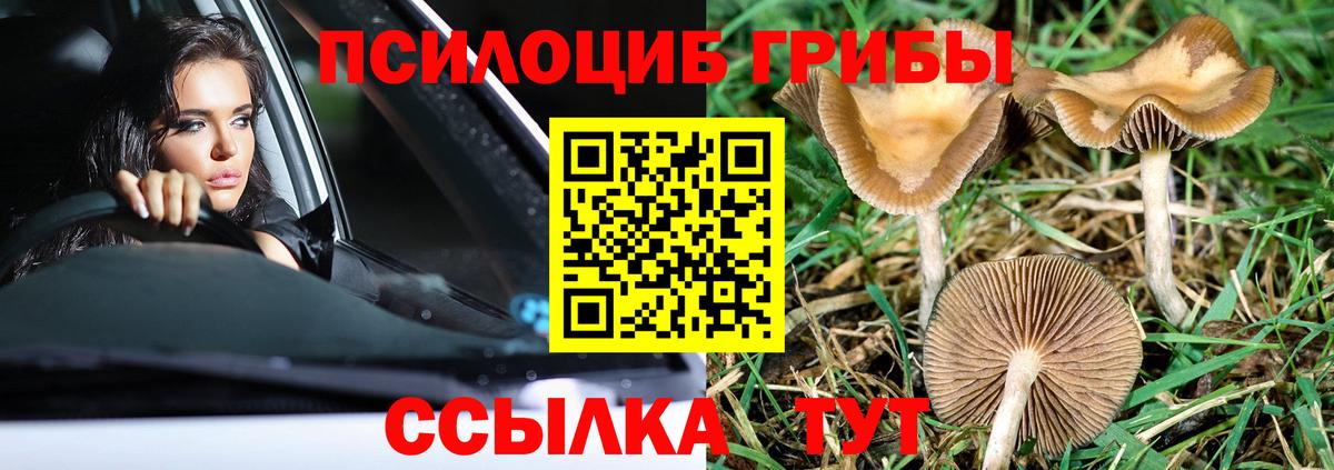 Псилоцибиновые грибы мухоморы  Вход с VPN  Моршанск 